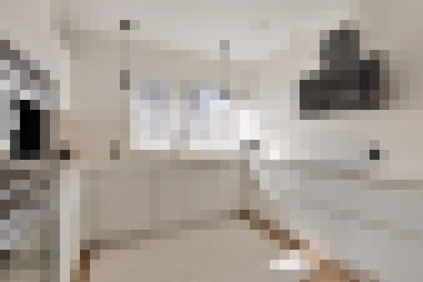 Schoolsticht 18 Dongen thumbnail 15