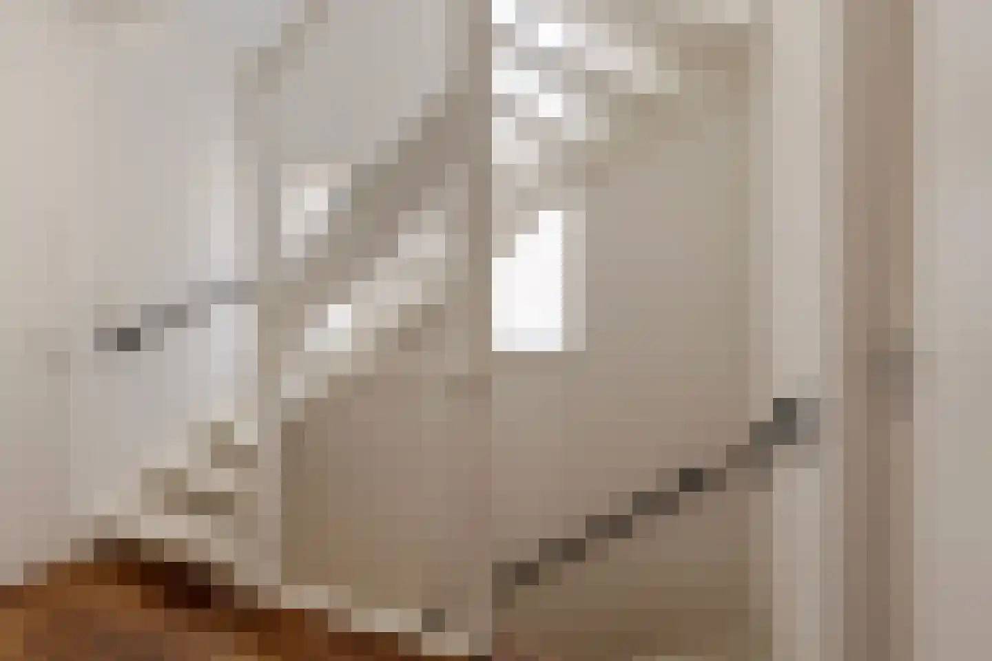 Schoolsticht 18 Dongen thumbnail 19