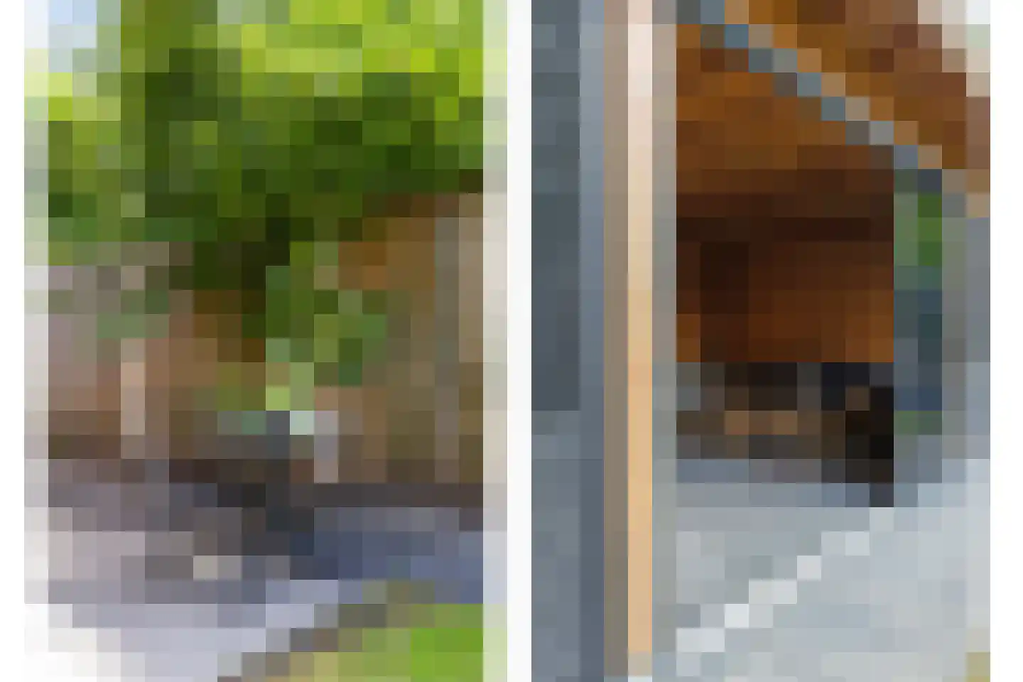 Schoolsticht 18 Dongen thumbnail 35