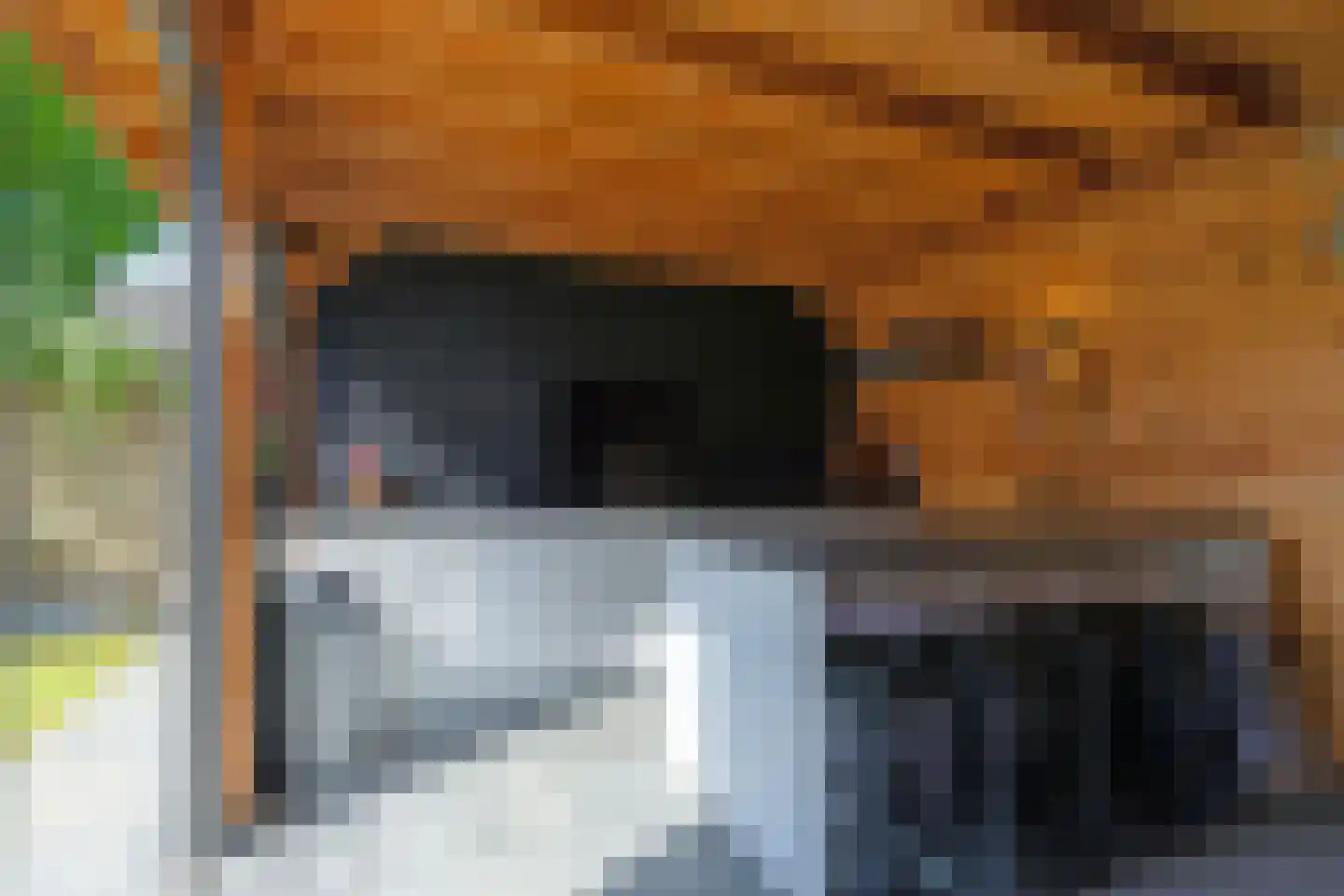 Schoolsticht 18 Dongen thumbnail 37