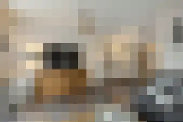 Schoolsticht 35 Dongen thumbnail 10