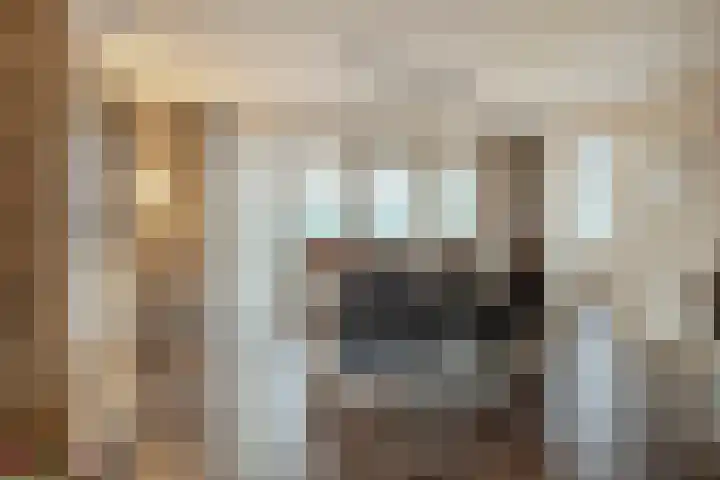 Schoolsticht 35 Dongen thumbnail 11