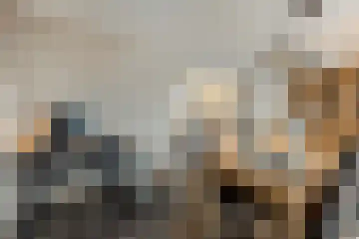 Schoolsticht 35 Dongen thumbnail 14