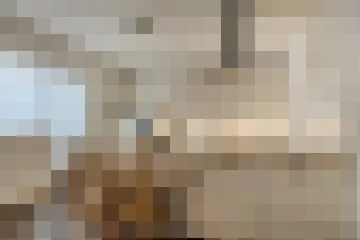 Schoolsticht 35 Dongen thumbnail 15