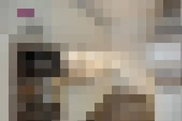 Schoolsticht 35 Dongen thumbnail 16