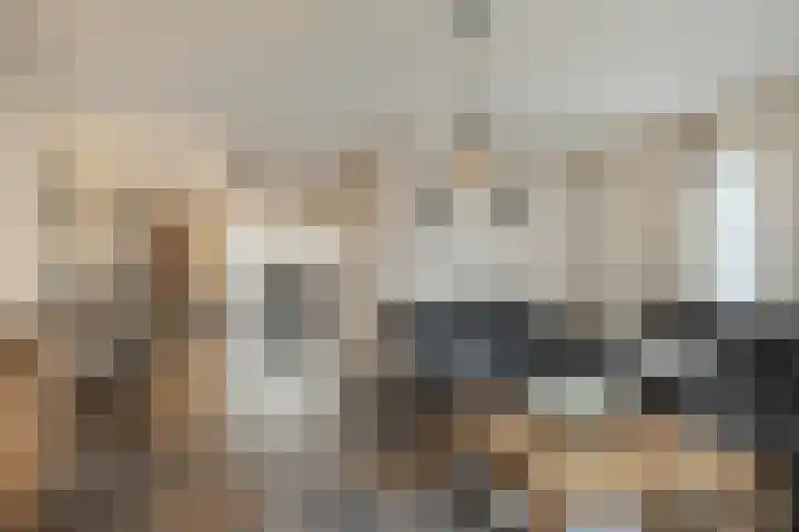 Schoolsticht 35 Dongen foto 2