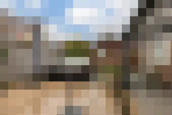 Schoolsticht 35 Dongen thumbnail 21