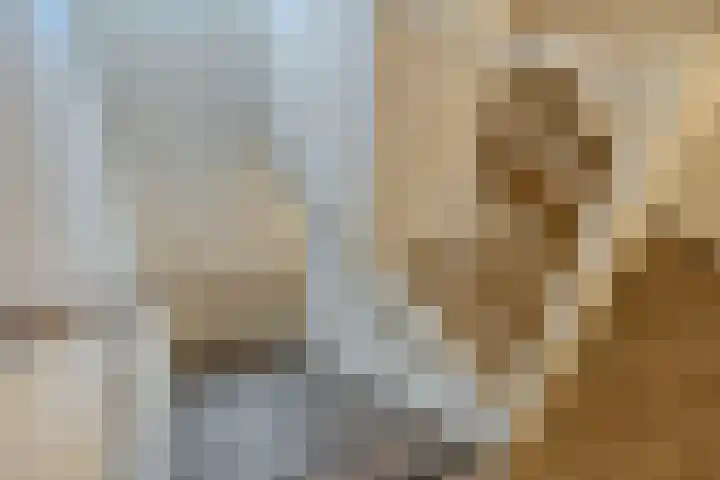 Schoolsticht 35 Dongen thumbnail 26