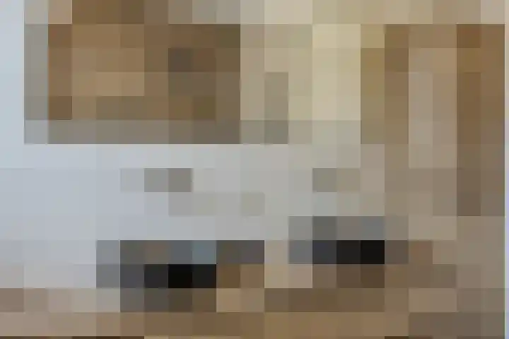 Schoolsticht 35 Dongen thumbnail 34