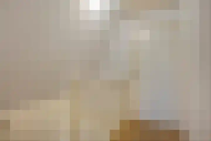 Schoolsticht 35 Dongen thumbnail 36