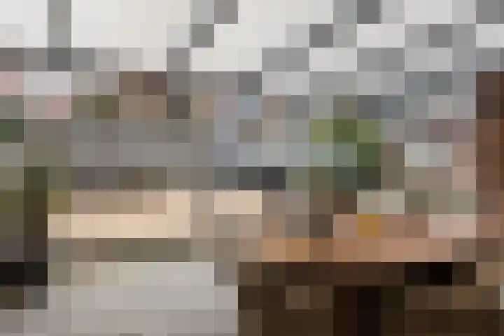 Schoolsticht 35 Dongen thumbnail 4