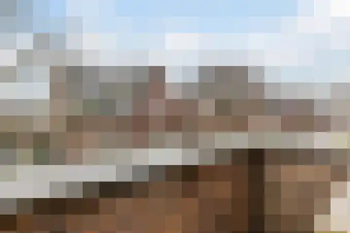 Schoolsticht 35 Dongen thumbnail 41