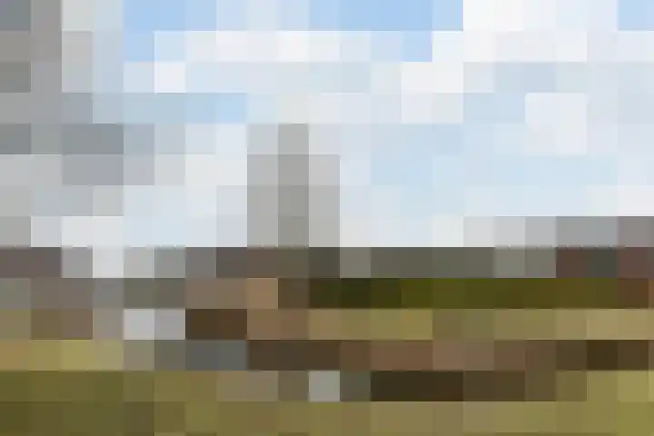 Schoolsticht 35 Dongen thumbnail 44