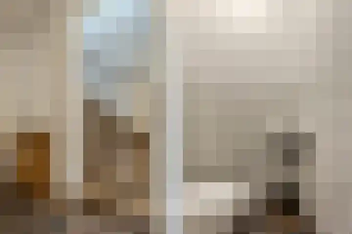 Schoolsticht 35 Dongen thumbnail 8