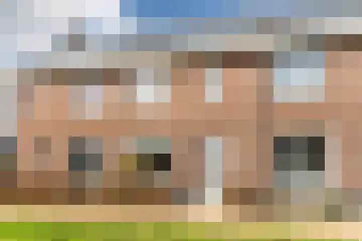 Schoolsticht 50 Dongen