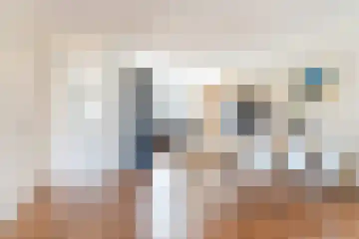 Schoolsticht 50 Dongen thumbnail 13