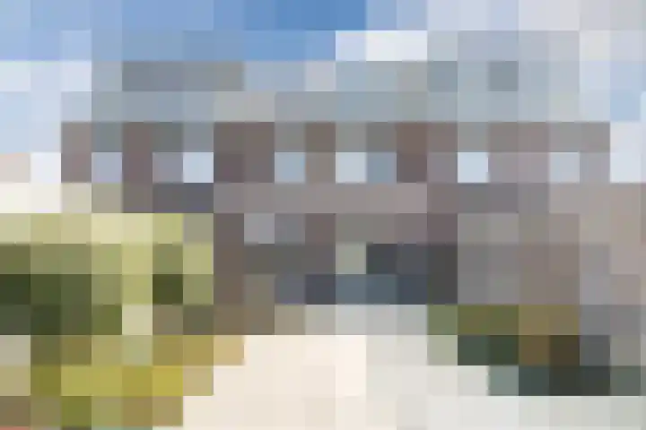 Schoolsticht 50 Dongen thumbnail 17