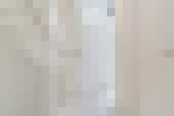 Schoolsticht 50 Dongen thumbnail 20