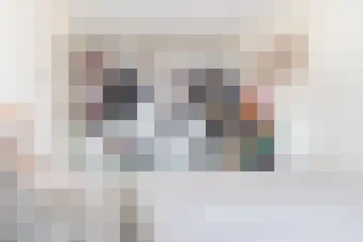 Schoolsticht 50 Dongen thumbnail 23