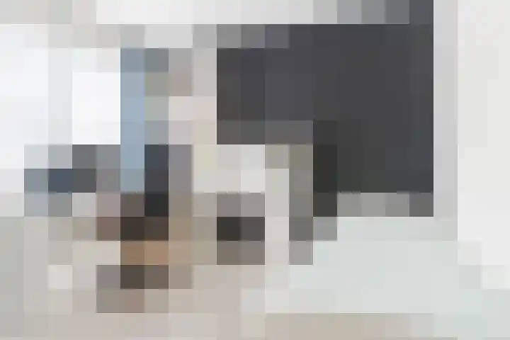 Schoolsticht 50 Dongen thumbnail 24
