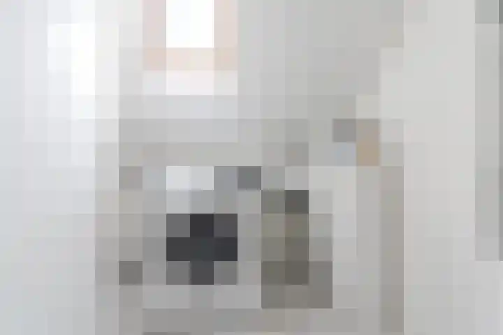 Schoolsticht 50 Dongen thumbnail 31