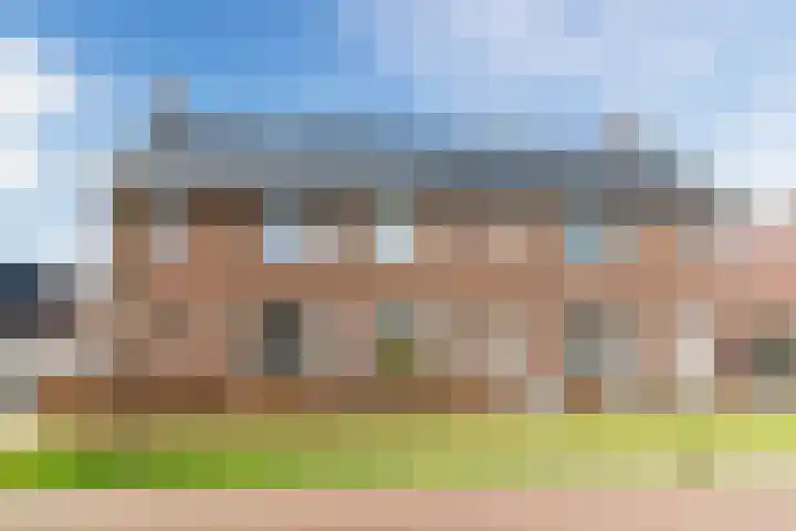 Schoolsticht 50 Dongen thumbnail 34