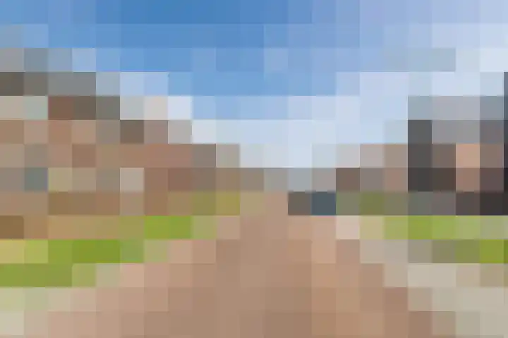 Schoolsticht 50 Dongen thumbnail 35