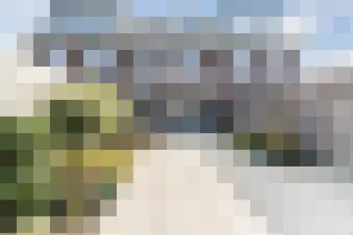 Schoolsticht 50 Dongen thumbnail 4