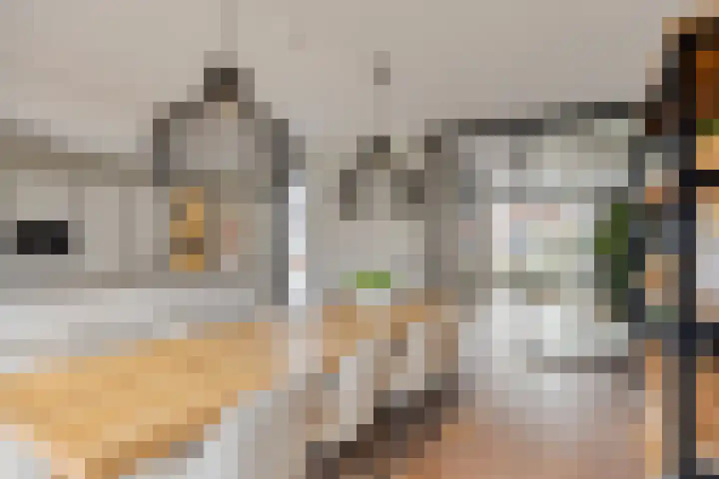 Schoolsticht 51 Dongen thumbnail 14