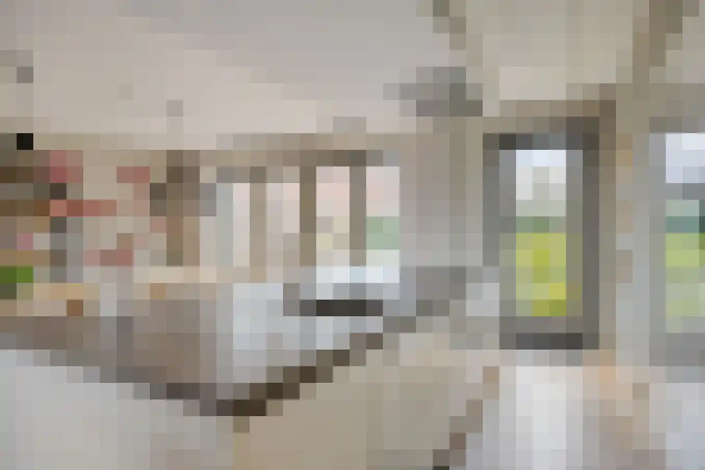 Schoolsticht 51 Dongen thumbnail 15