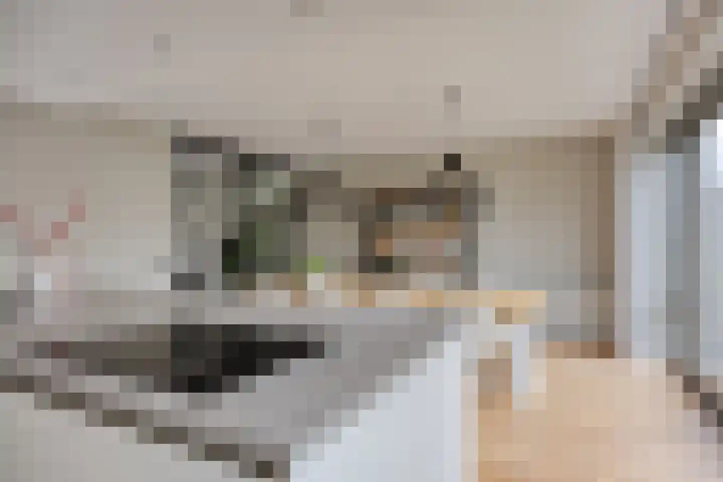 Schoolsticht 51 Dongen thumbnail 17
