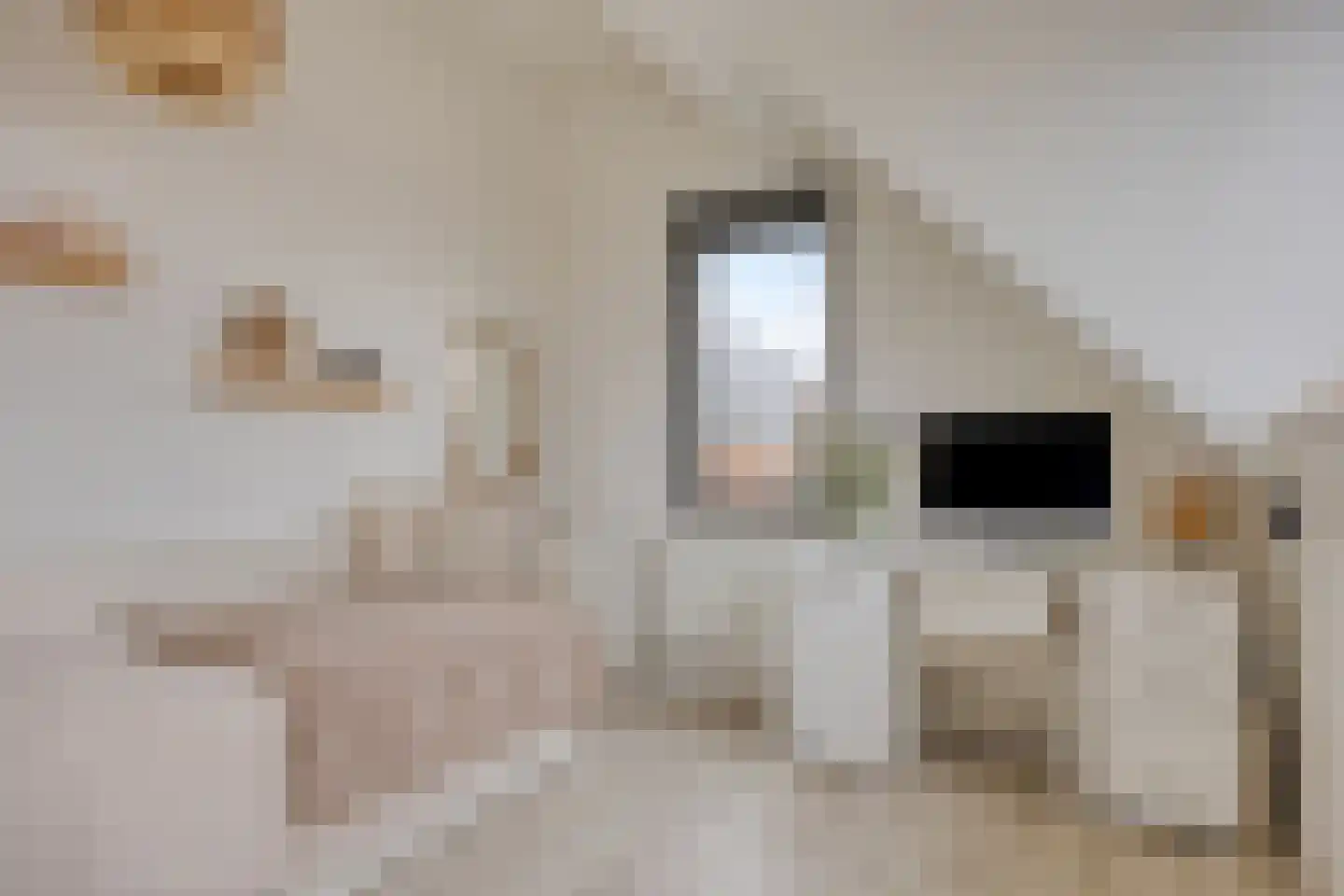 Schoolsticht 51 Dongen thumbnail 31