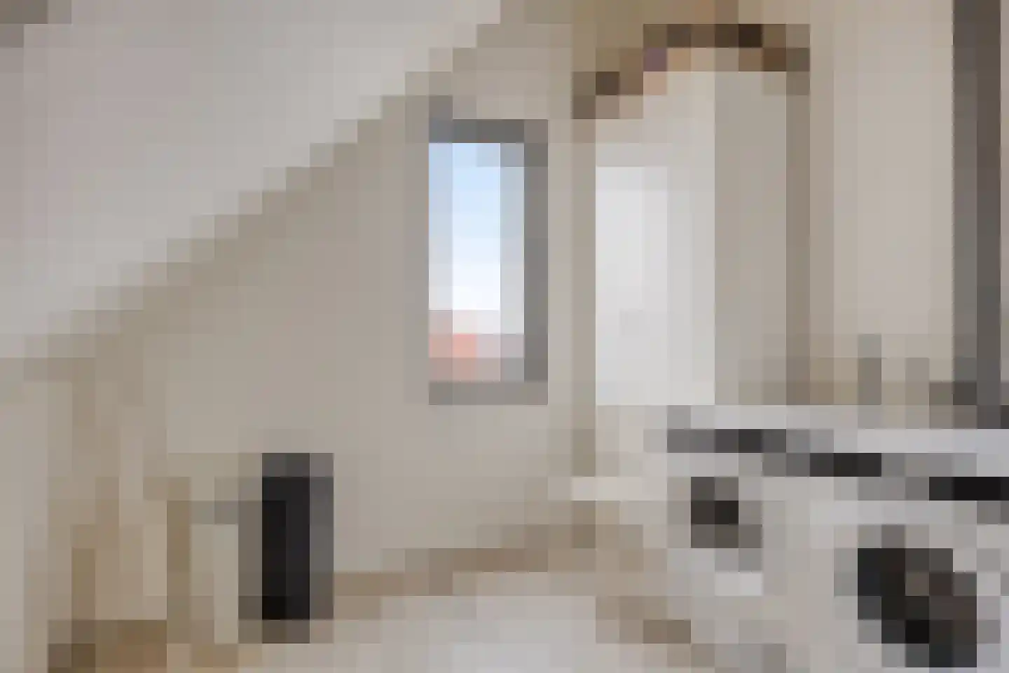 Schoolsticht 51 Dongen thumbnail 33