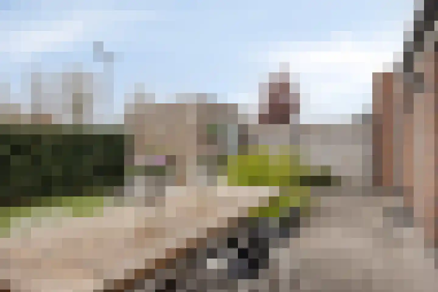 Schoolsticht 51 Dongen thumbnail 34