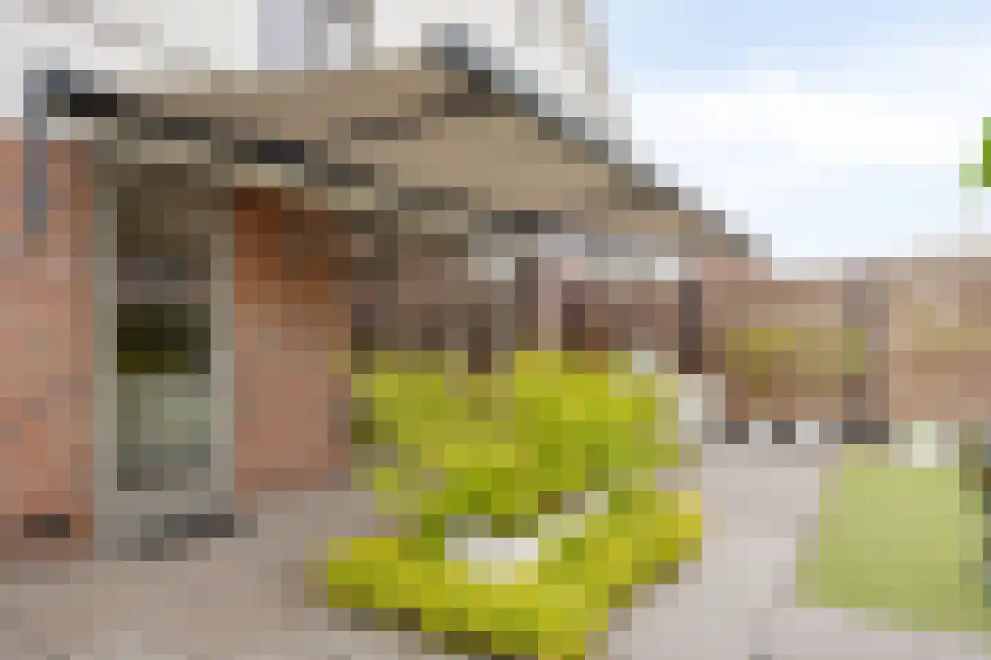Schoolsticht 51 Dongen thumbnail 36