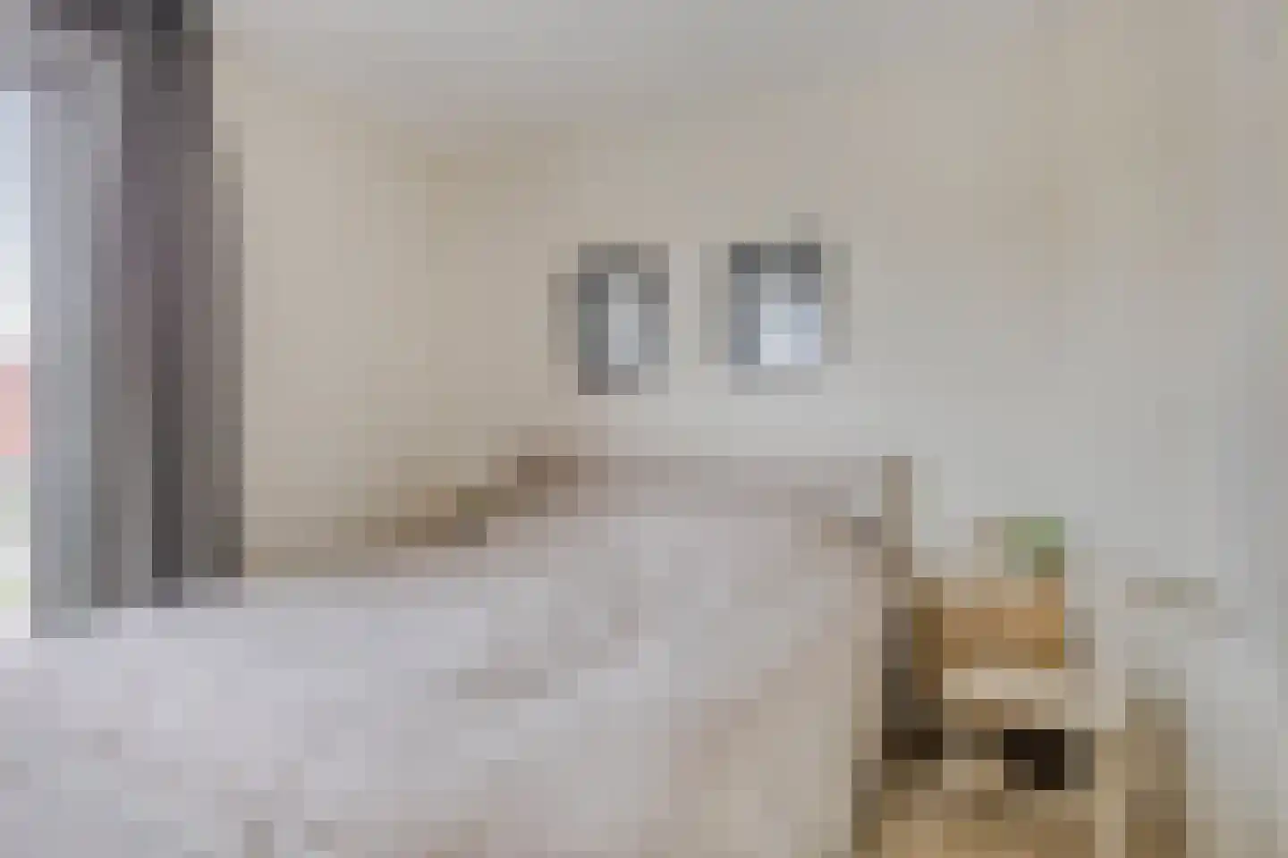 Schoolsticht 51 Dongen thumbnail 4