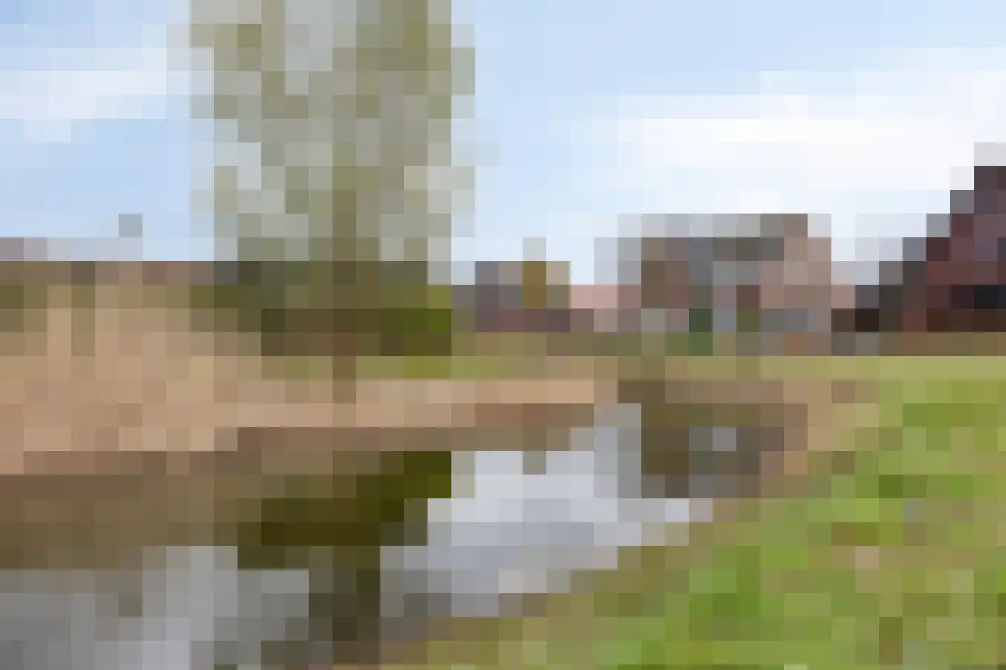 Schoolsticht 51 Dongen thumbnail 40