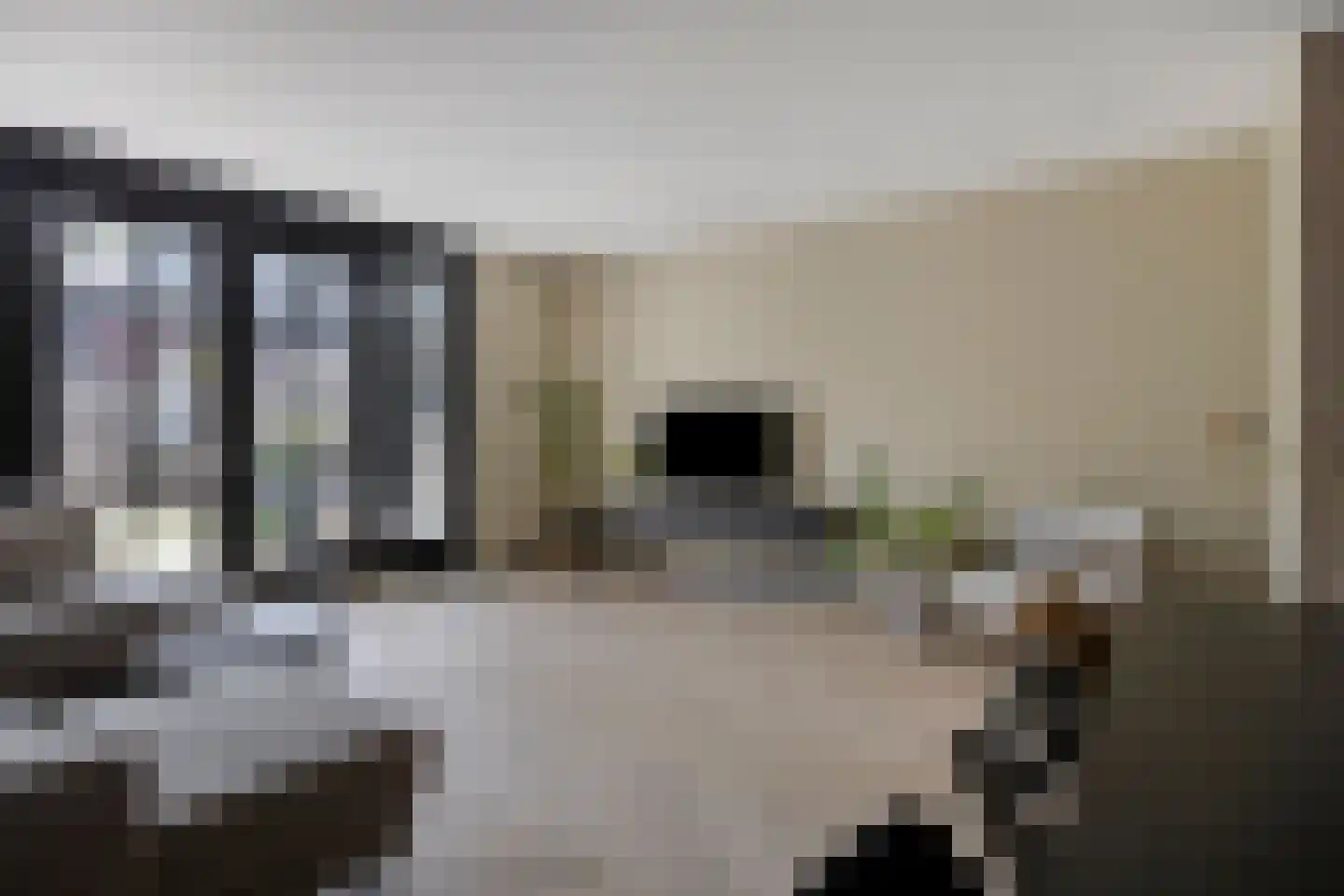 Schoolsticht 91 Dongen thumbnail 13