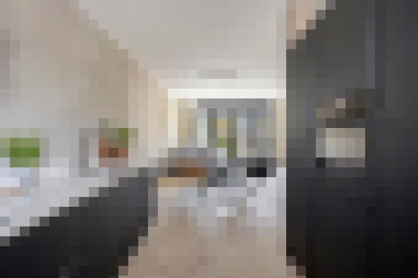 Schoolsticht 91 Dongen thumbnail 19