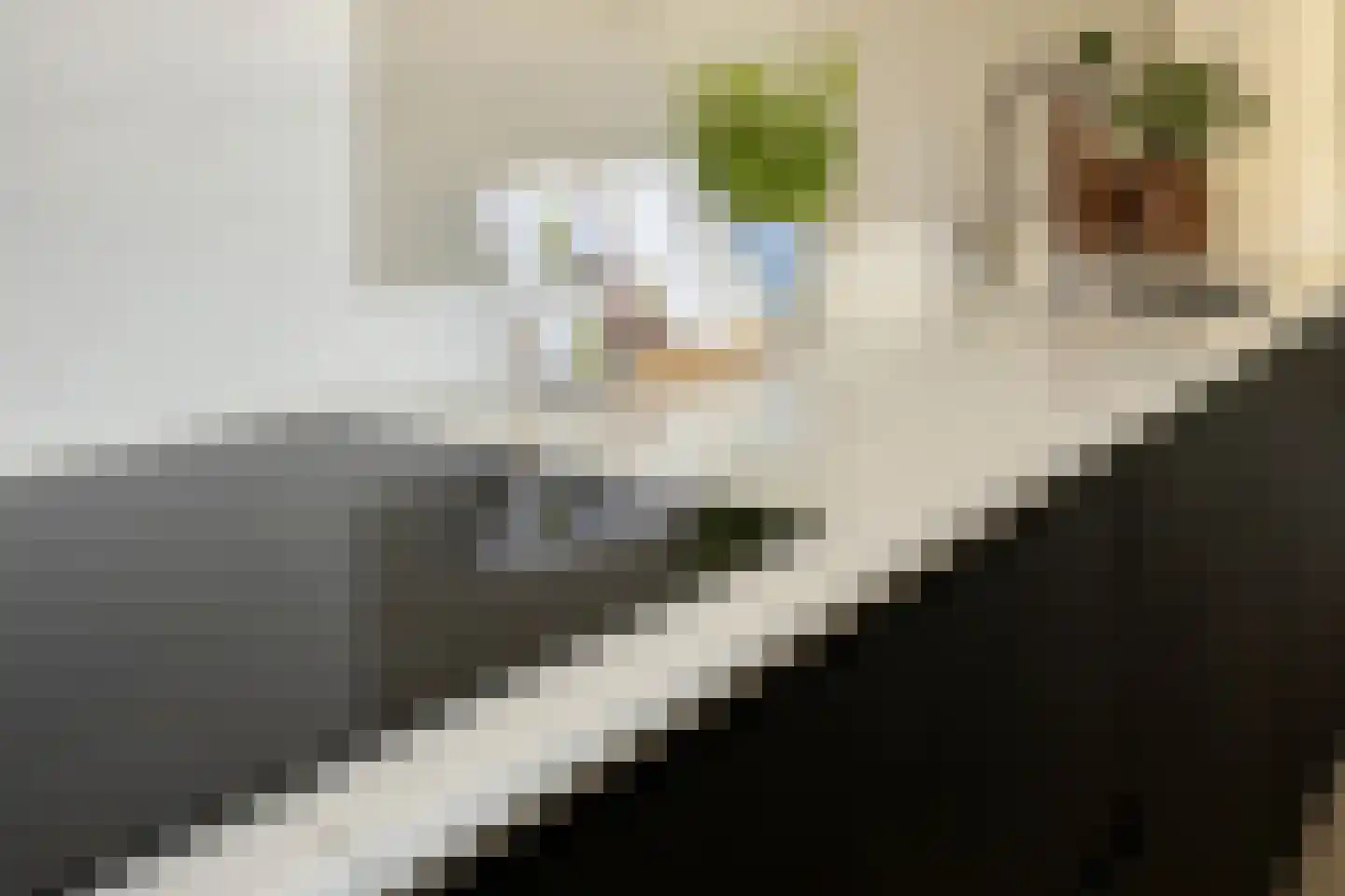 Schoolsticht 91 Dongen thumbnail 20