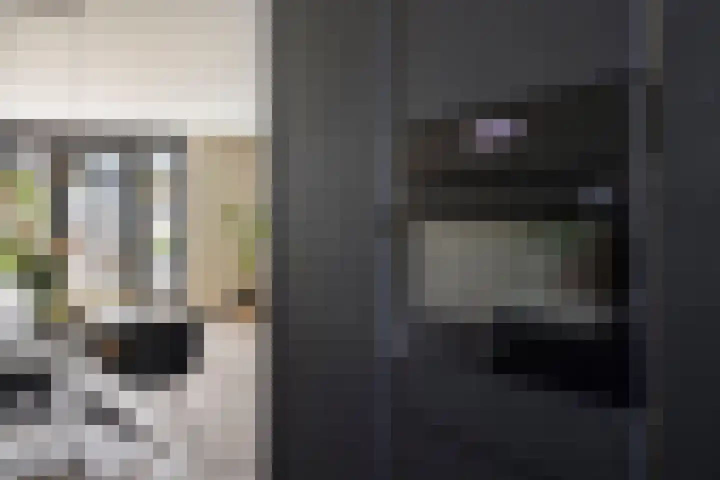 Schoolsticht 91 Dongen thumbnail 21