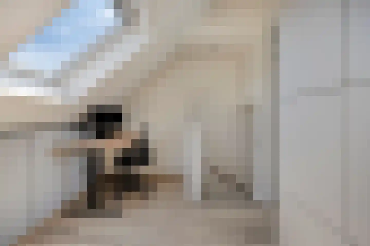 Schoolsticht 91 Dongen thumbnail 30