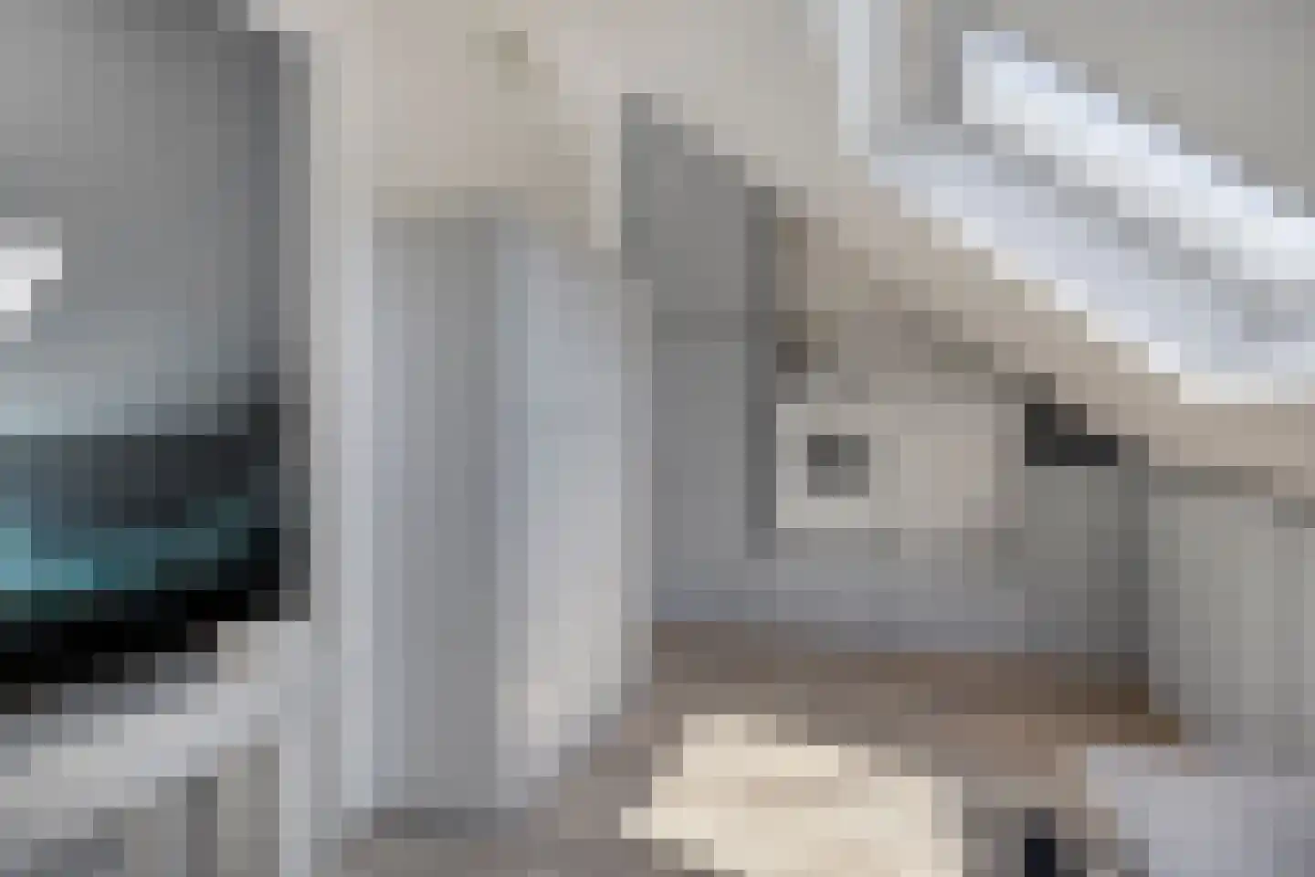 Schoolsticht 91 Dongen thumbnail 31