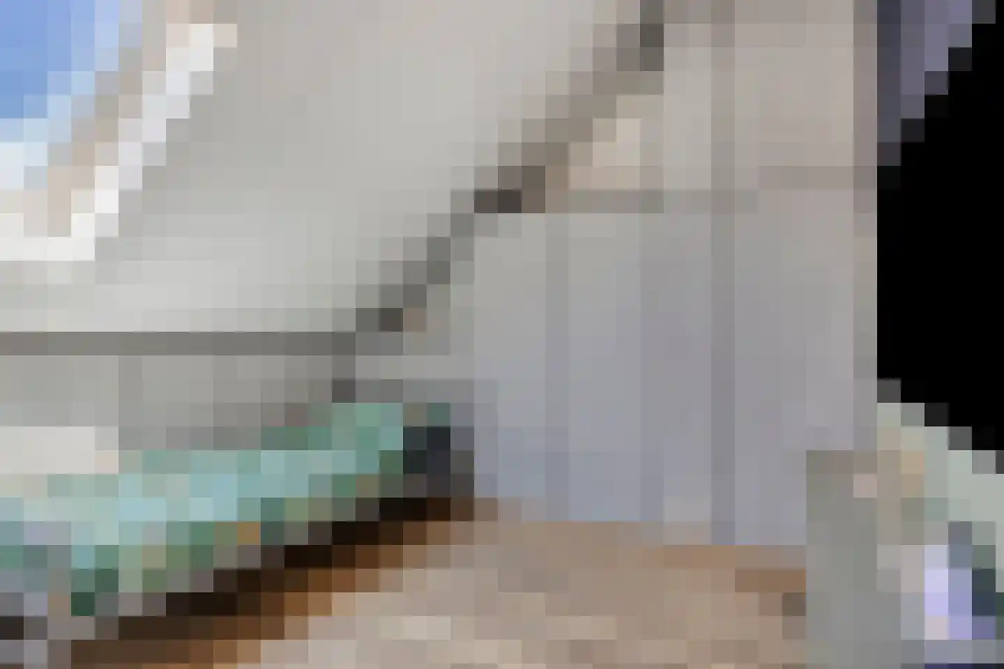 Schoolsticht 91 Dongen thumbnail 32