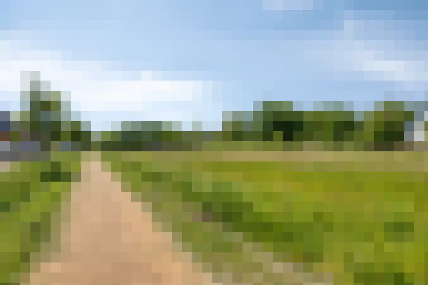 Schoolsticht 91 Dongen thumbnail 38