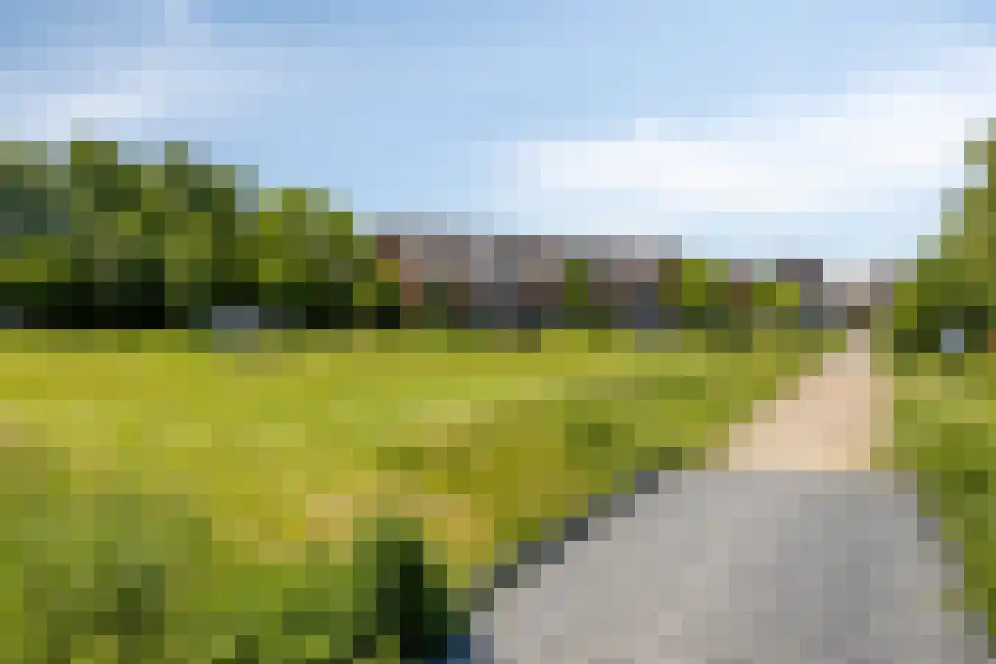 Schoolsticht 91 Dongen thumbnail 39