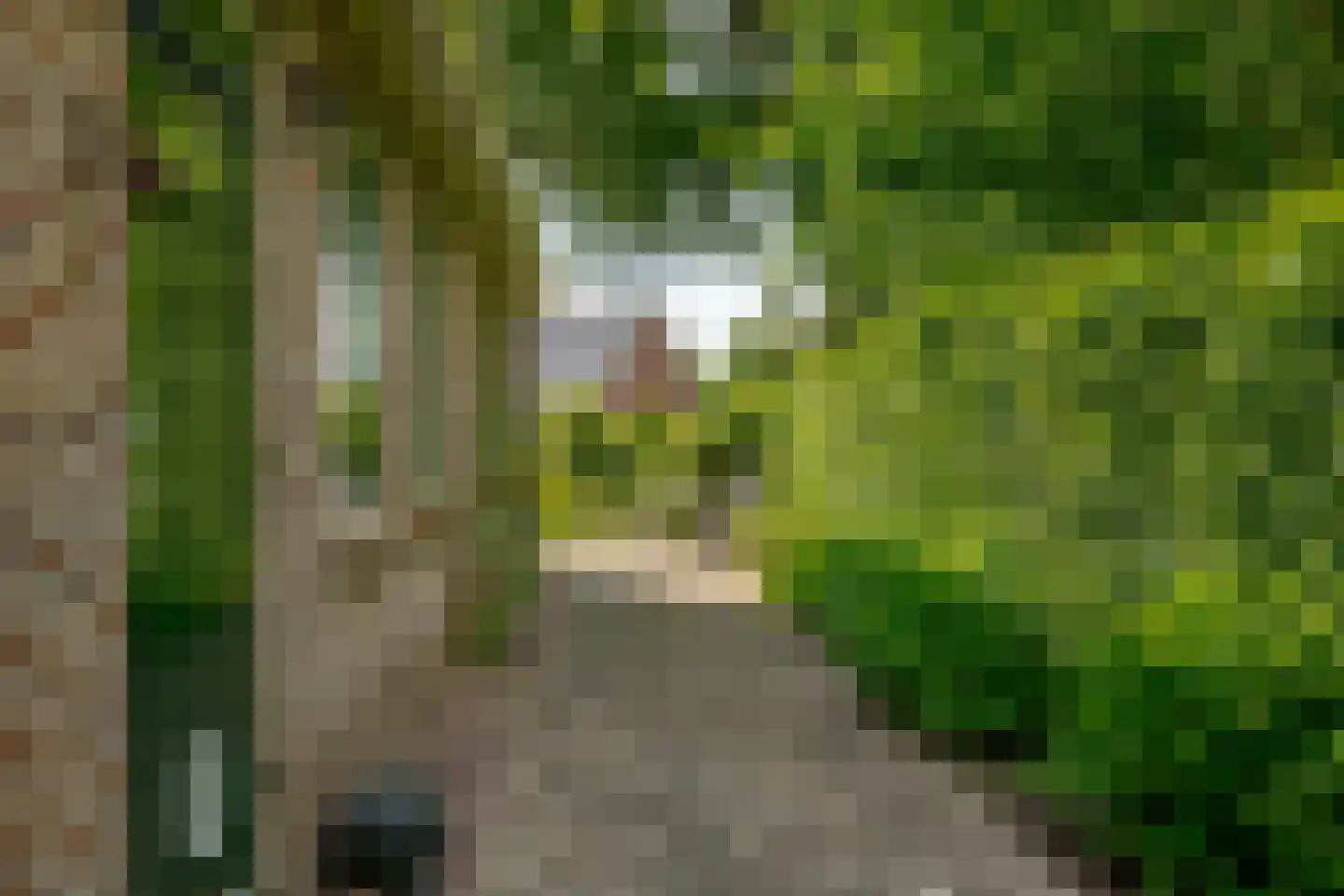 Schoolstraat 1 A Drouwen thumbnail 66