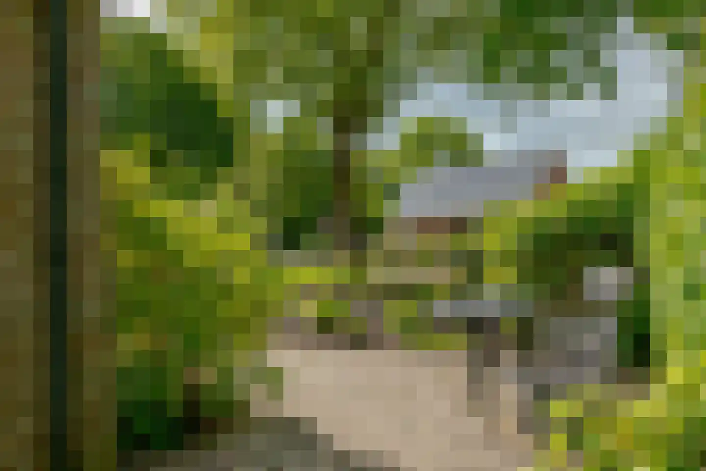 Schoolstraat 1 A Drouwen thumbnail 67