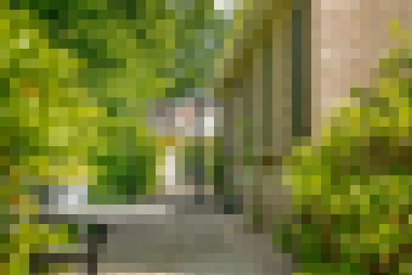 Schoolstraat 1 A Drouwen thumbnail 68