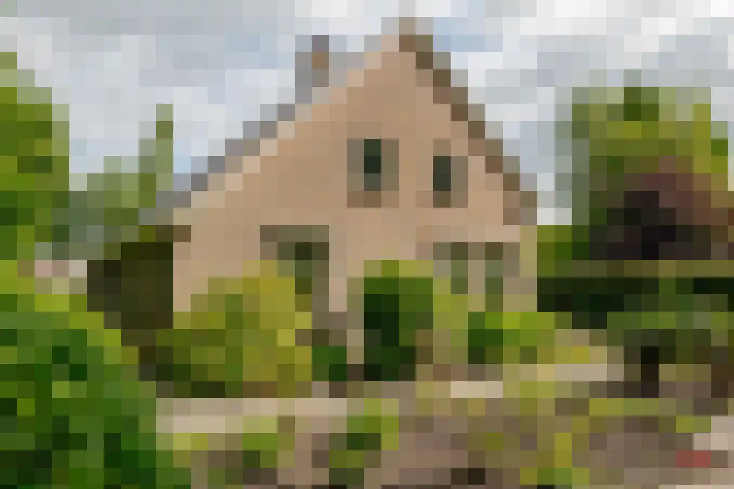 Schoolstraat 1 A Drouwen thumbnail 69